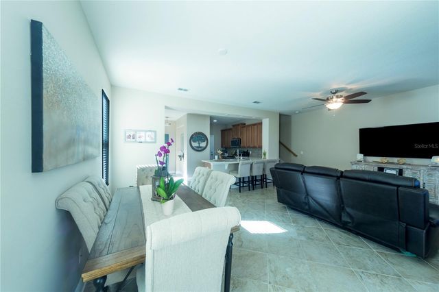 17459 CHATEAU PINE WAY, Clermont, FL 34711