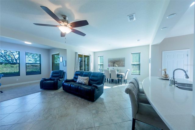17459 CHATEAU PINE WAY, Clermont, FL 34711