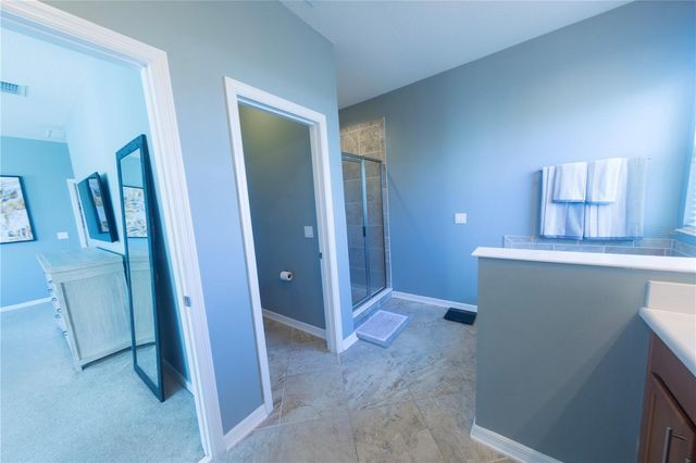17459 CHATEAU PINE WAY, Clermont, FL 34711