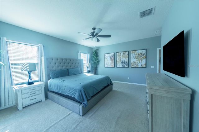 17459 CHATEAU PINE WAY, Clermont, FL 34711