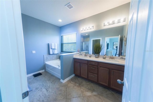 17459 CHATEAU PINE WAY, Clermont, FL 34711