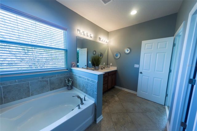 17459 CHATEAU PINE WAY, Clermont, FL 34711