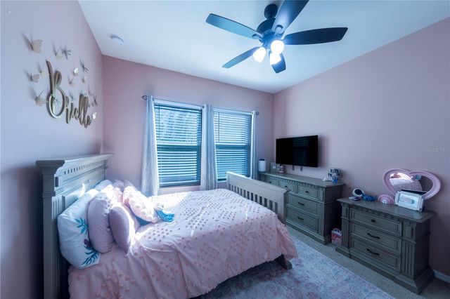 17459 CHATEAU PINE WAY, Clermont, FL 34711