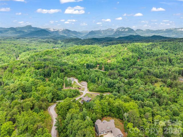 334 Willow Top Lane, Lake Lure, NC 28746