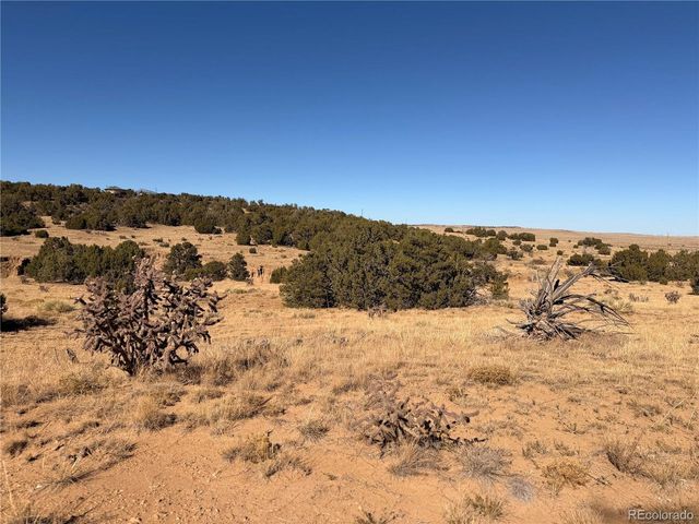 537 RIO CUCHARAS, Walsenburg, CO 81089