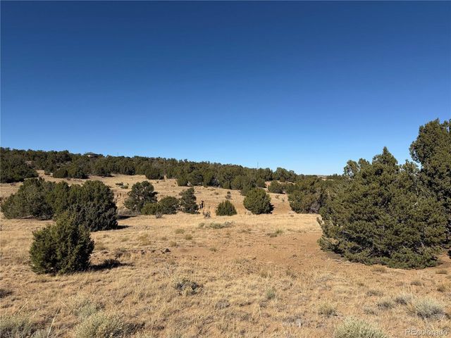 537 RIO CUCHARAS, Walsenburg, CO 81089