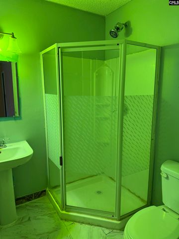 212 Briarcliffe East, Elgin, SC 29045