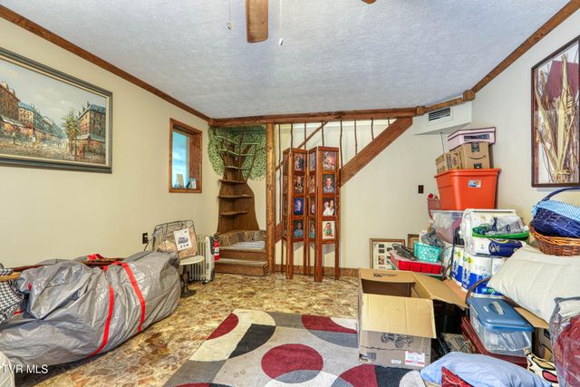 1744 Snake Hollow Road, Sneedville, TN 37869