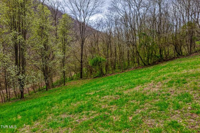 1744 Snake Hollow Road, Sneedville, TN 37869