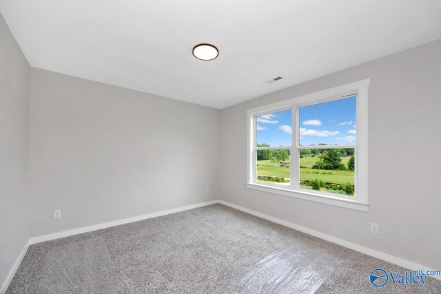 30038 Orville Smith Road, Harvest, AL 35749