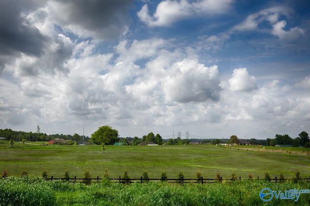 30038 Orville Smith Road, Harvest, AL 35749