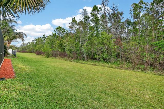 3355 BELLINO BOULEVARD, New Smyrna Beach, FL 32168