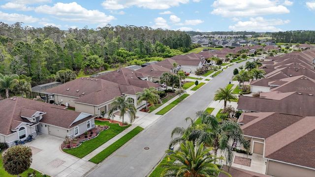 3355 BELLINO BOULEVARD, New Smyrna Beach, FL 32168