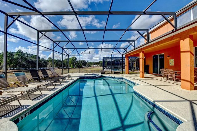 733 ORANGE COSMOS BOULEVARD, Davenport, FL 33837