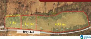 COUNTY ROAD 440, Chelsea, AL 35043