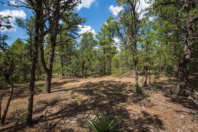 70 Anaya Road, Tijeras, NM 87059