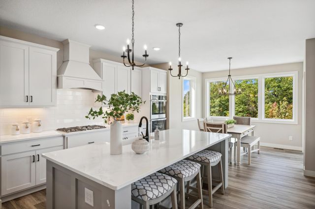 10190 Heather Lane, Corcoran, MN 55374