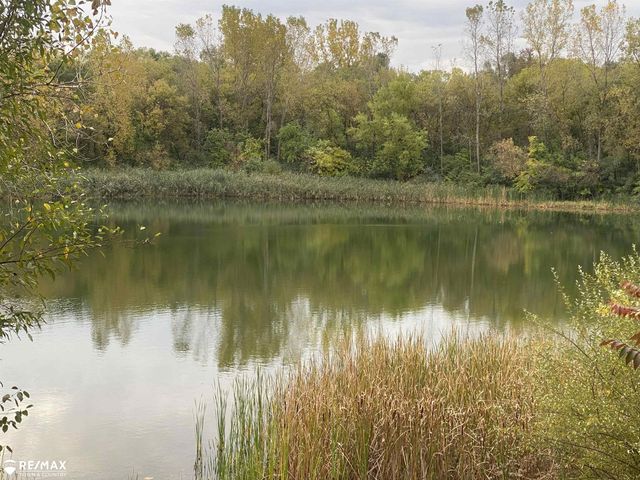 0 W Frances Road, Clio, MI 48420
