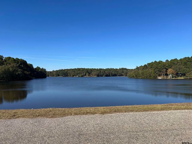 121 County Road 325, Frankston, TX 75763