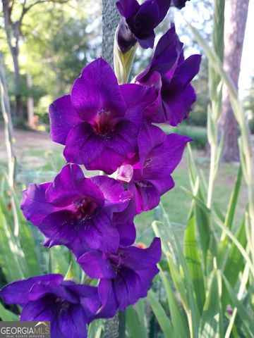 2601 Ridgewood Lane, Albany, GA 31707