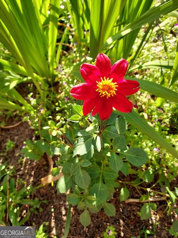 2601 Ridgewood Lane, Albany, GA 31707