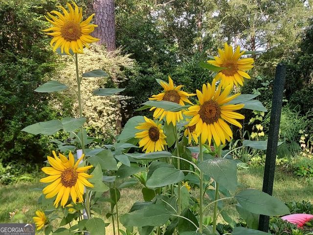 2601 Ridgewood Lane, Albany, GA 31707