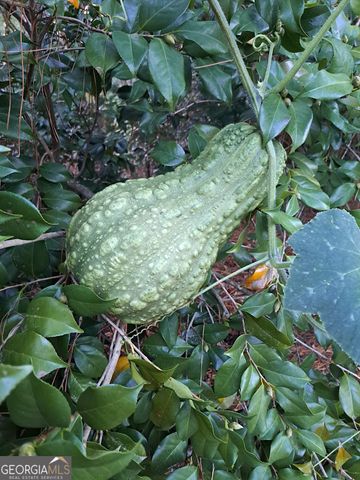 2601 Ridgewood Lane, Albany, GA 31707