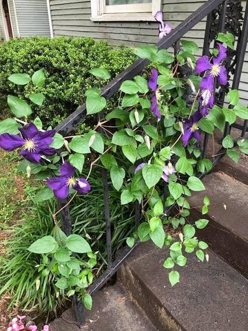 1051 S REMBERT ST, Memphis, TN 38104