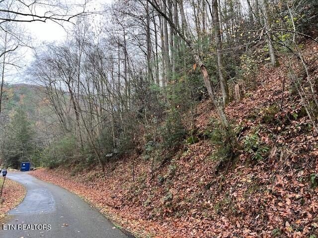 Big Buck Tr, Townsend, TN 37882