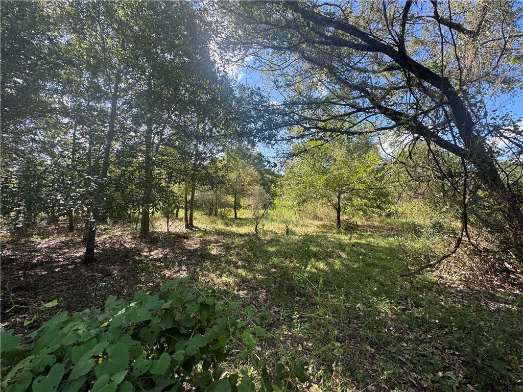 16547 TBD State Highway 105 W, Brenham, TX 77880 — photo 2