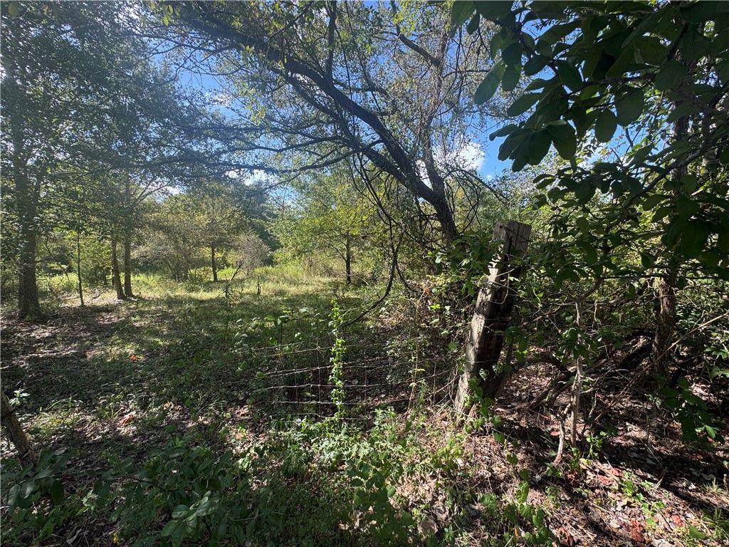 16547 TBD State Highway 105 W, Brenham, TX 77880 — photo 5