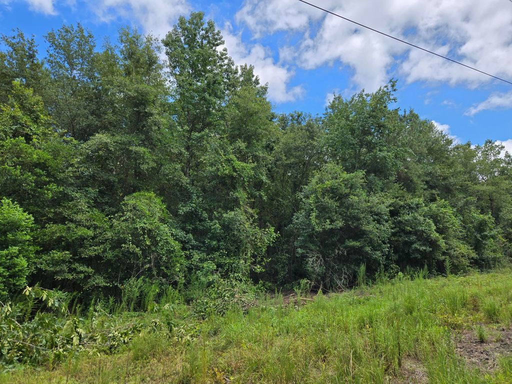 Tbd Bay Street, Beech Island, SC 29842