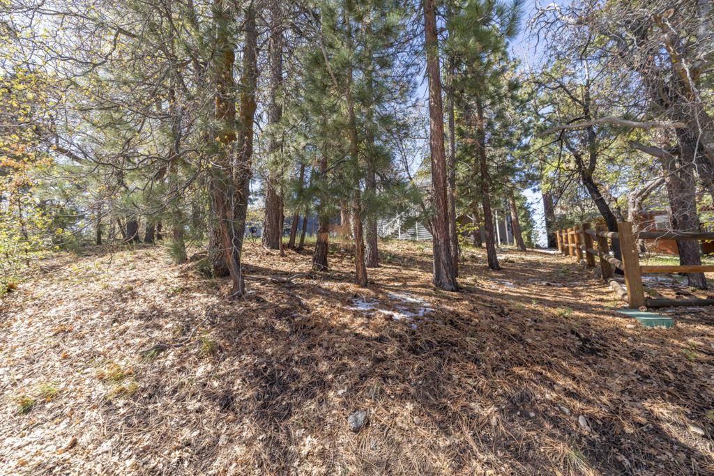 Image 27 of property listing at 721 Villa Grove Avenue, Big Bear, CA 92314
