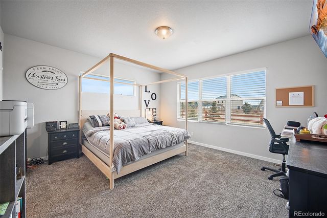 1031 Parkline Lane, Monument, CO 80132