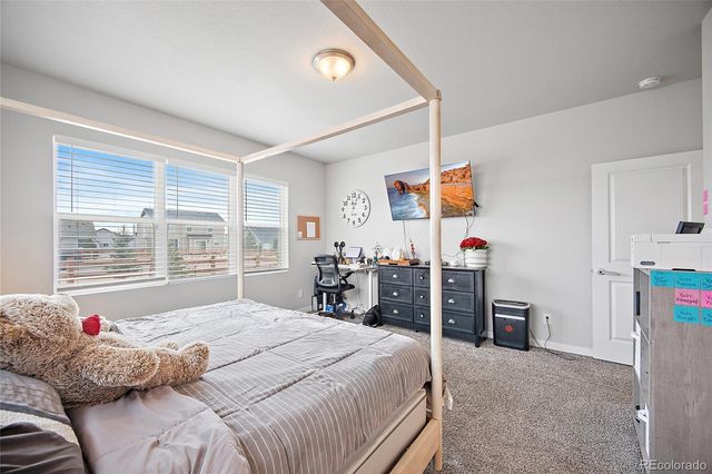 1031 Parkline Lane, Monument, CO 80132