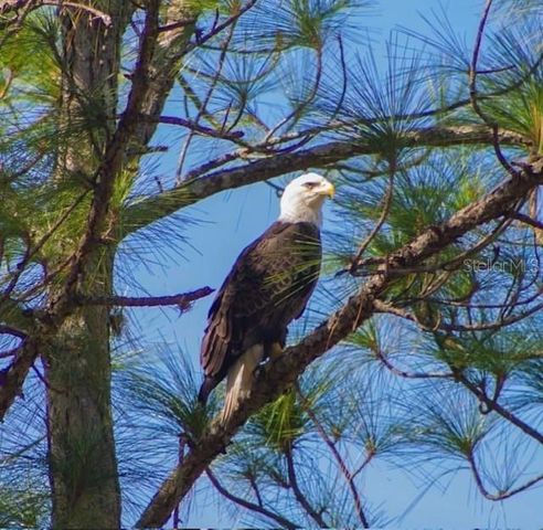 2291 WACCASSA STREET, Geneva, FL 32732