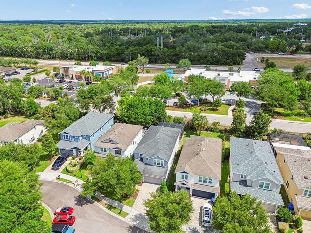 16214 BAYBERRY VIEW DRIVE, Lithia, FL 33547