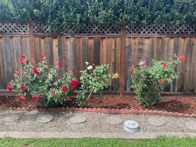 1408 Birch Avenue, San Mateo, CA 94402