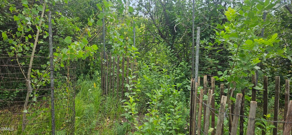 798 Fort Rice Street, Fort Rice, ND 58554 photo 7