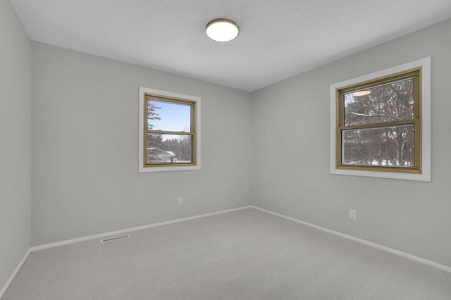 8421 156th Lane NW, Ramsey, MN 55303