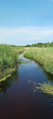 8421 156th Lane NW, Ramsey, MN 55303