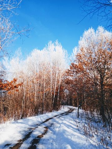 8421 156th Lane NW, Ramsey, MN 55303