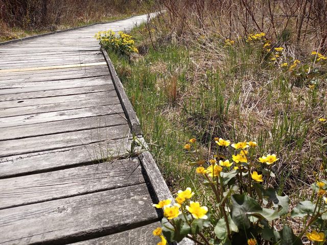 8421 156th Lane NW, Ramsey, MN 55303