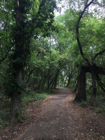 8421 156th Lane NW, Ramsey, MN 55303