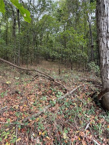 TBD Keck Road, Siloam Springs, AR 72761