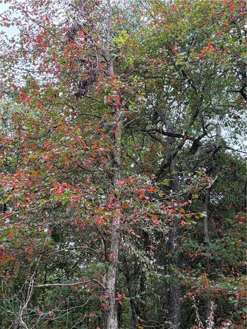TBD Keck Road, Siloam Springs, AR 72761