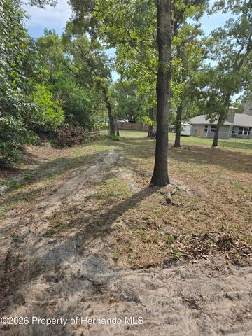 1414 Maximilian Avenue, Spring Hill, FL 34609