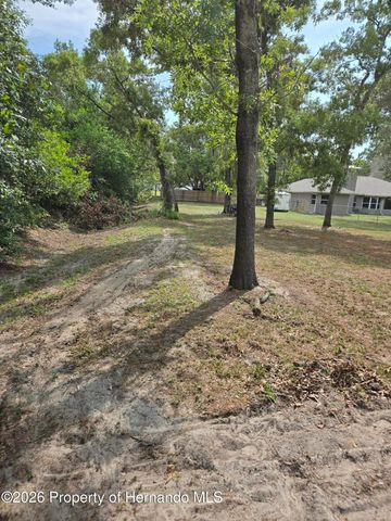 1414 Maximilian Avenue, Spring Hill, FL 34609