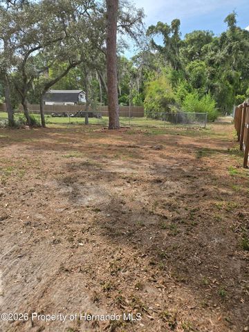 1414 Maximilian Avenue, Spring Hill, FL 34609