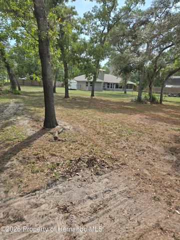 1414 Maximilian Avenue, Spring Hill, FL 34609